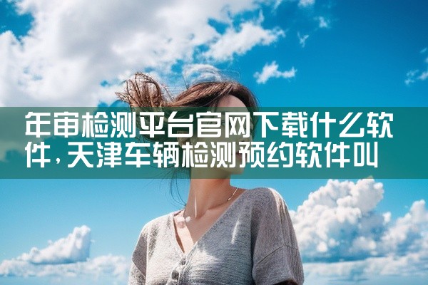 年审检测平台官网下载什么软件