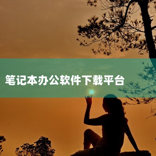 选择豌豆荚、PP助手等平台（如PP助手WPS下载页），点击“安全下载”并按提示安装。|
