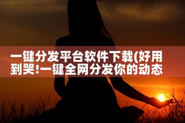 一键分发平台软件下载