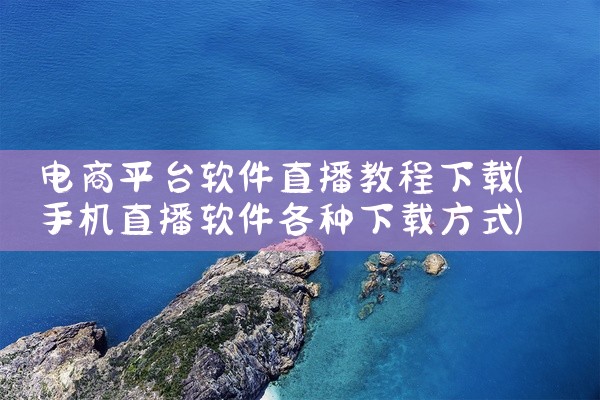 电商平台软件直播教程下载