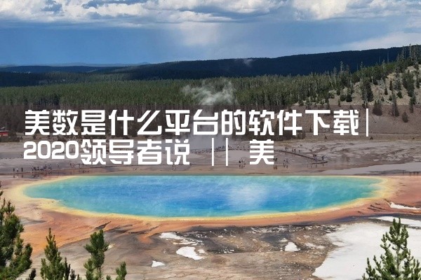 美数是什么平台的软件下载