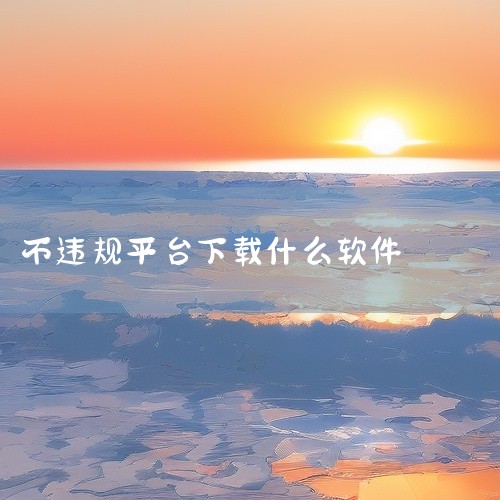 四、飞书是一款简洁高效的办公聊天软件，强调流畅的协作体验。它的界面简洁，操作方便，能快速实现信息的传递和共享。在团队沟通中，能很好地支持各种工作话题的交流，保障工作交流的正常开展，不会对合规的用词进行,